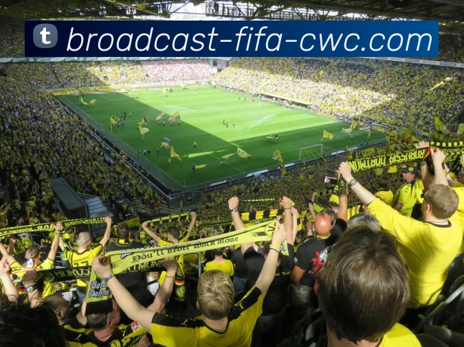 世界杯中国APP 封面图